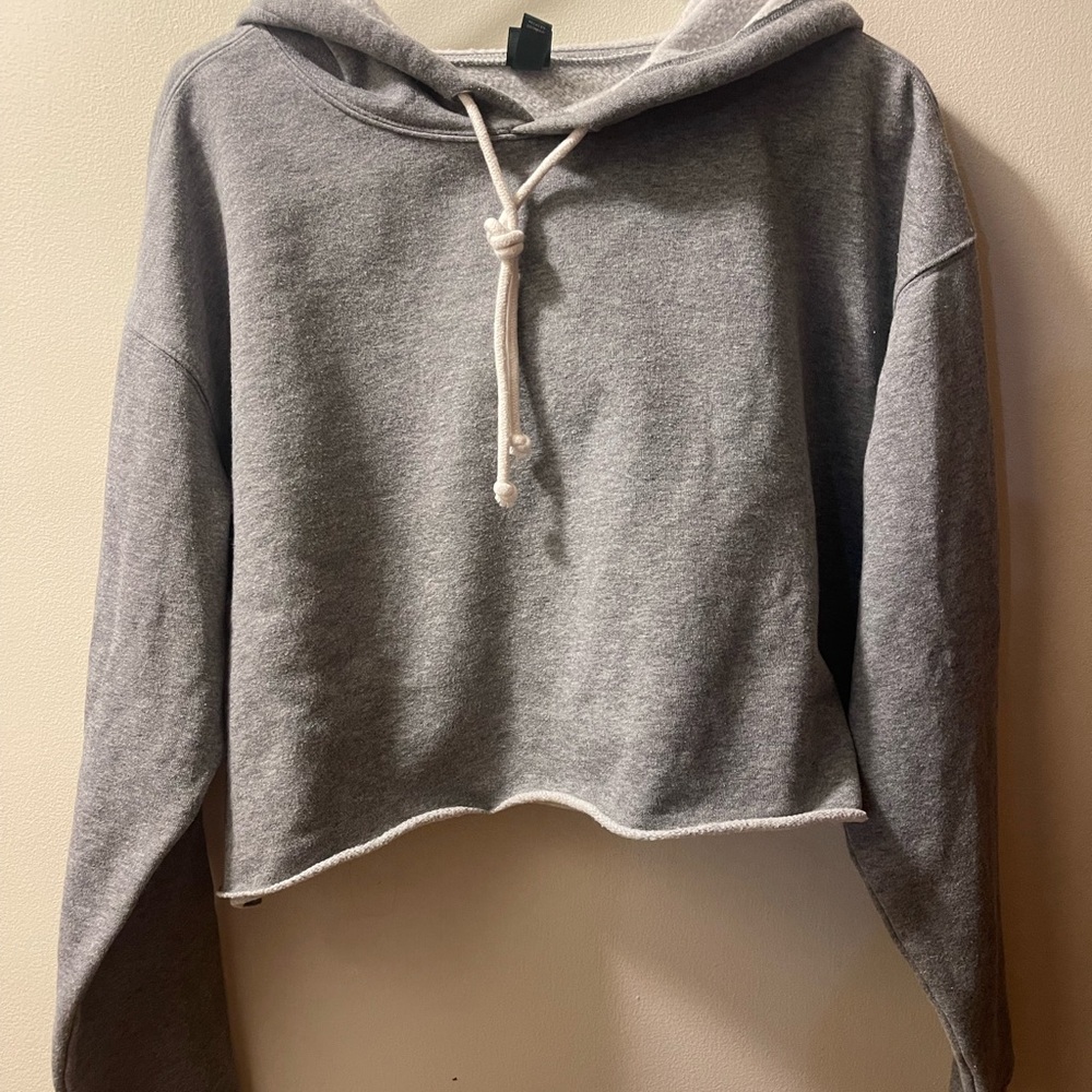 Wild Fable Gray Cropped Hoodie